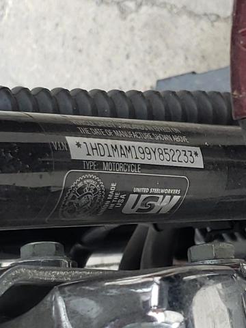 2009 HARLEY-DAVIDSON FLHTCUTG 1HD1MAM199Y852233