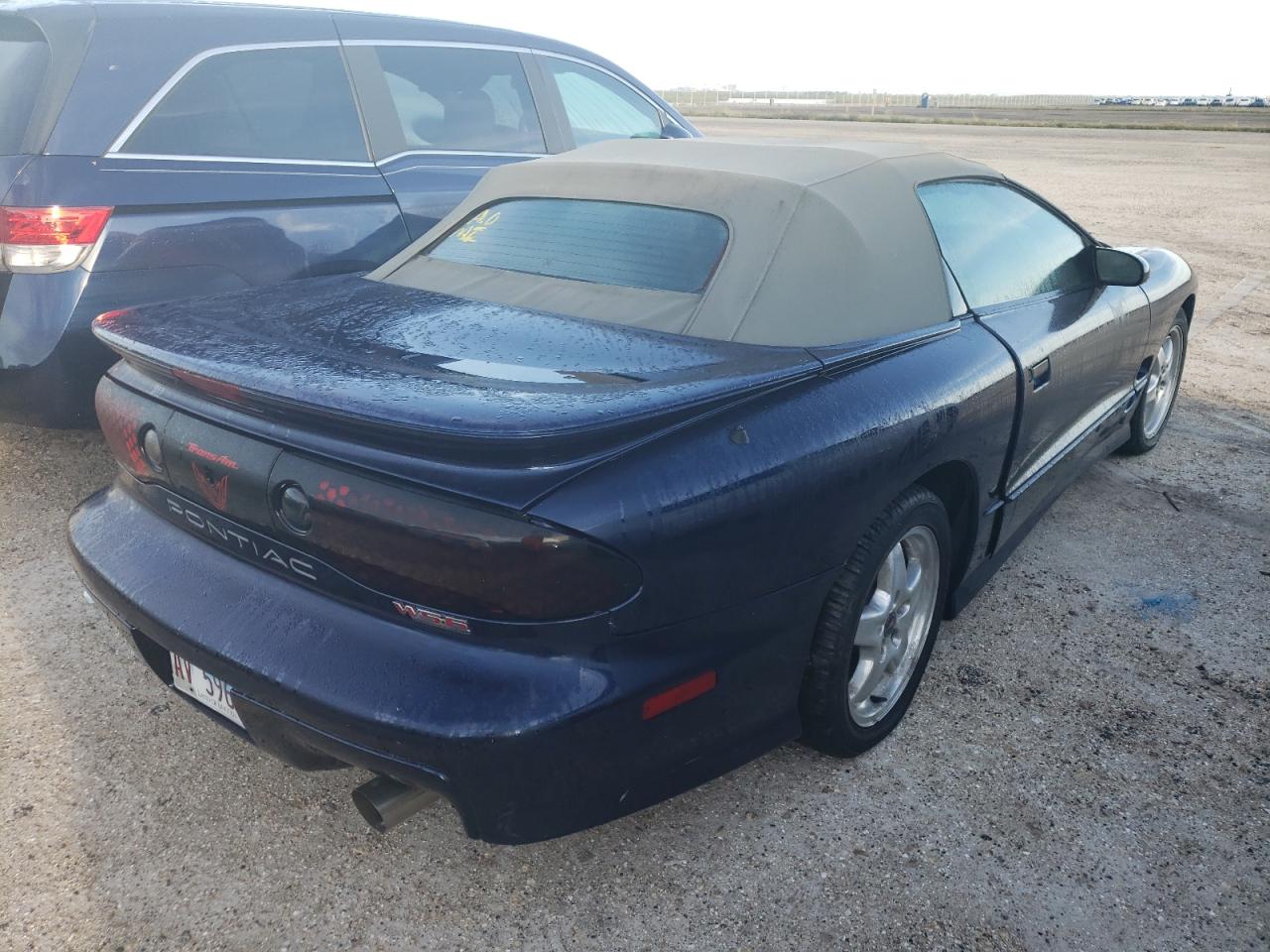 2G2FV32G322150746 2002 Pontiac Firebird Trans Am