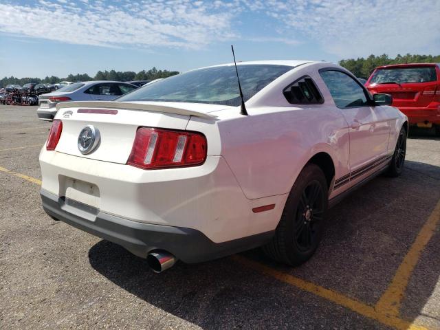 2010 FORD MUSTANG - 1ZVBP8AN0A5131086