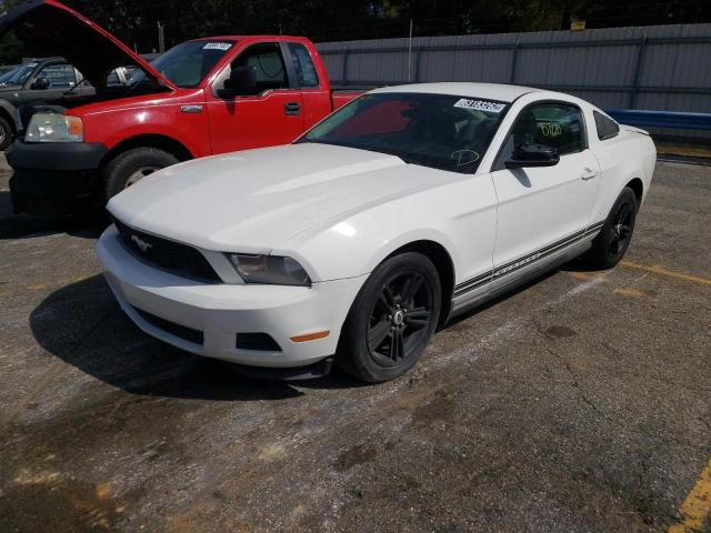 2010 FORD MUSTANG - 1ZVBP8AN0A5131086