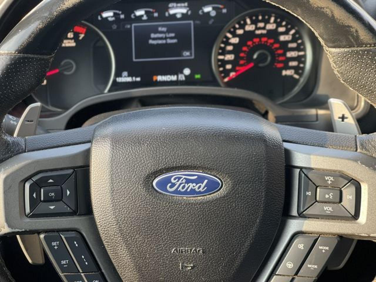 2018 Ford F150 Raptor VIN: 1FTFW1RG7JFA06178 Lot: 63363062