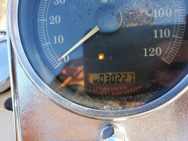 2006 HARLEY-DAVIDSON FLSTCI 1HD1BWB106Y051210