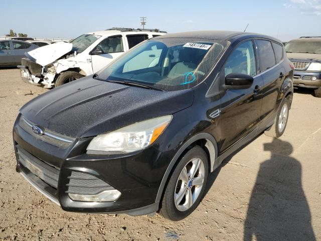 Salvage cars for sale from Copart Bakersfield, CA: 2013 Ford Escape SE