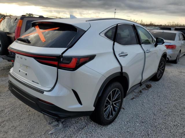 2022 LEXUS NX 250 JTJADCAZ2N5000242