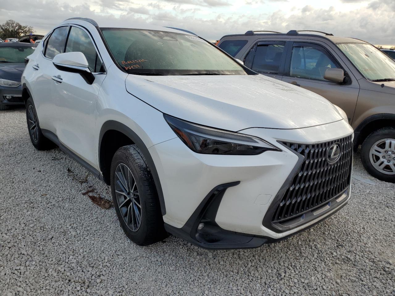 JTJADCAZ2N5000242 LEXUS NX 250 2022
