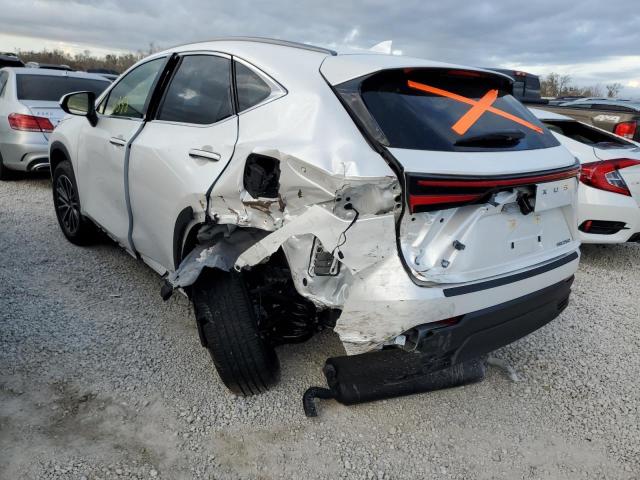 2022 LEXUS NX 250 JTJADCAZ2N5000242