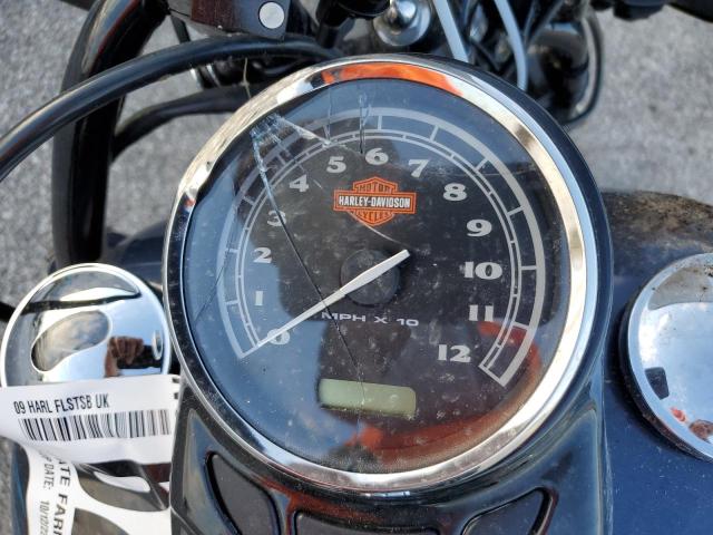 2009 HARLEY-DAVIDSON FLSTSB - 1HD1JM5169Y040378
