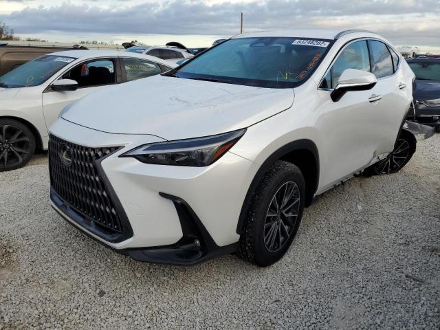 2022 LEXUS NX 250 JTJADCAZ2N5000242