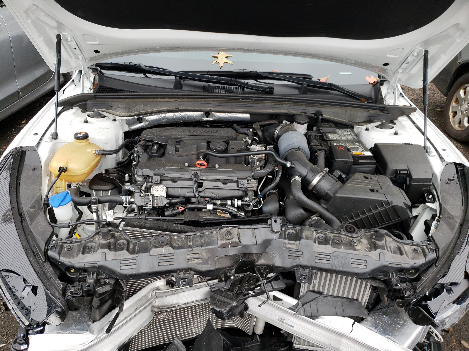 2022 Kia K5 Gt Line vin: 5XXG64J26NG104387