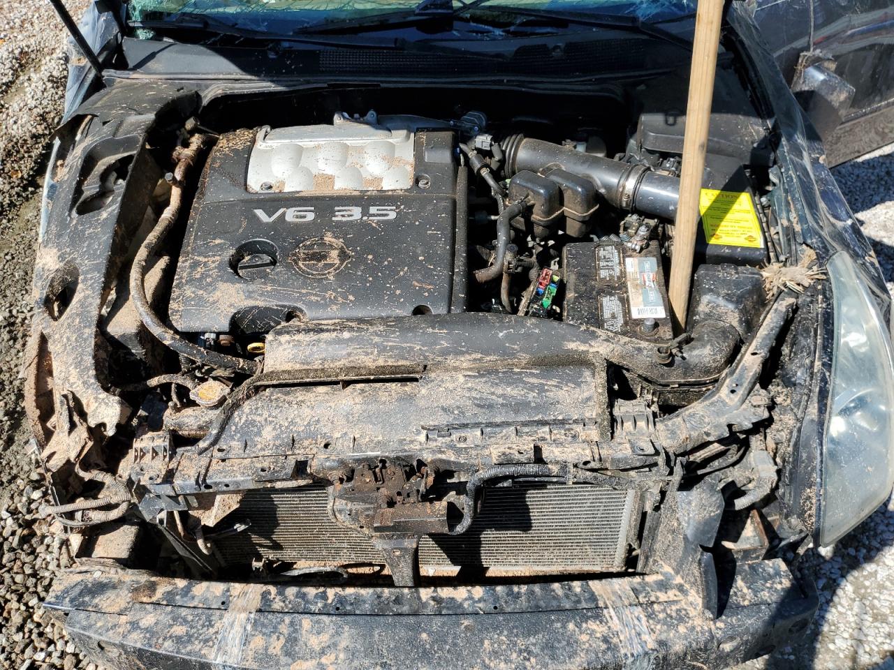 2008 Nissan Maxima Se VIN: 1N4BA41E98C835585 Lot: 64378804