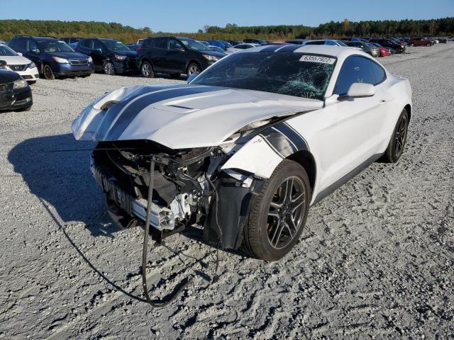 2019 FORD MUSTANG 1FA6P8TH0K5184664