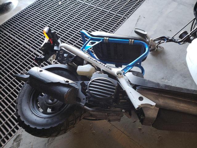 2023 HONDA NPS50 - JH2AF5814PK100878