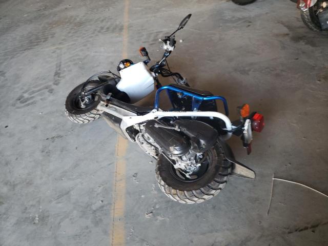 2023 HONDA NPS50 - JH2AF5814PK100878