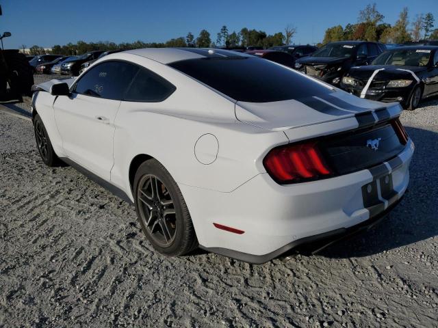 2019 FORD MUSTANG 1FA6P8TH0K5184664