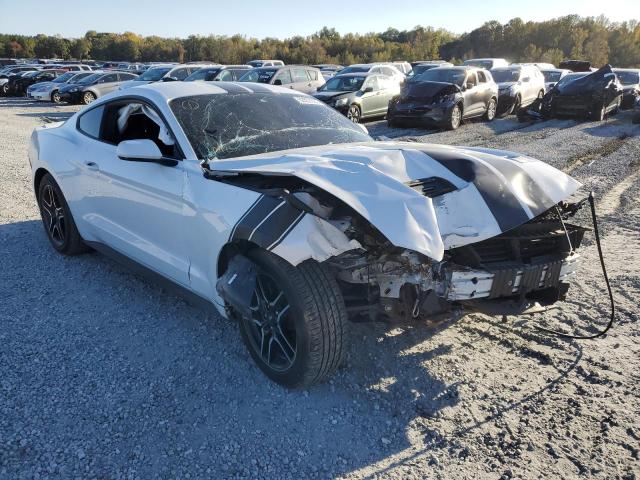 2019 FORD MUSTANG 1FA6P8TH0K5184664