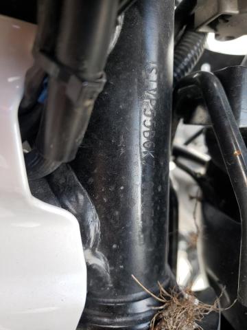 2019 SUZUKI SV650 A JS1VP55B6K7101072