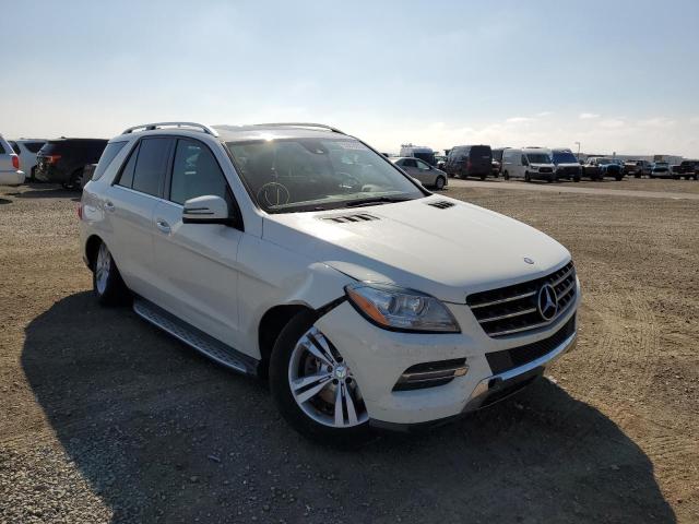 VIN 4JGDA2EB4DA217728 2013 MERCEDES-BENZ M-CLASS no.1