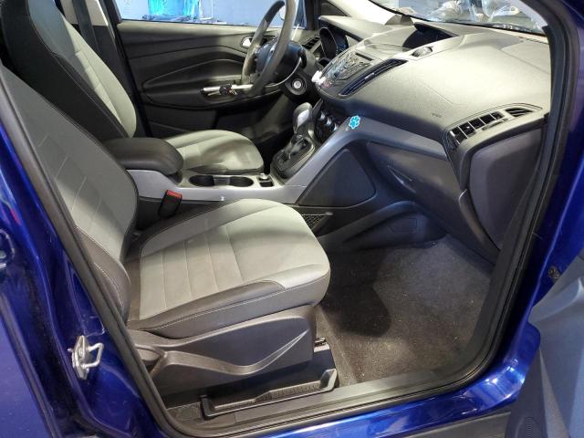 Car photos