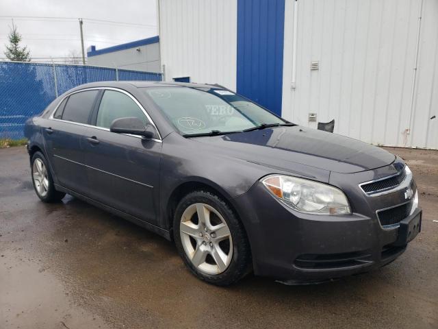 2011 CHEVROLET MALIBU LS for sale at Copart NB - MONCTON