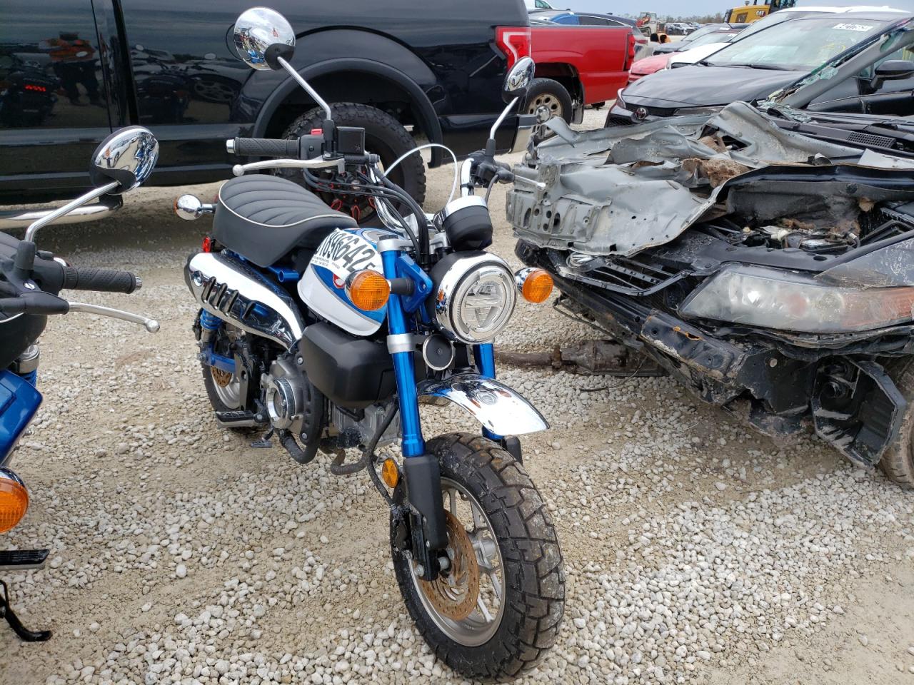 MLHJB021XM5200572 HONDA Z125 M 2021