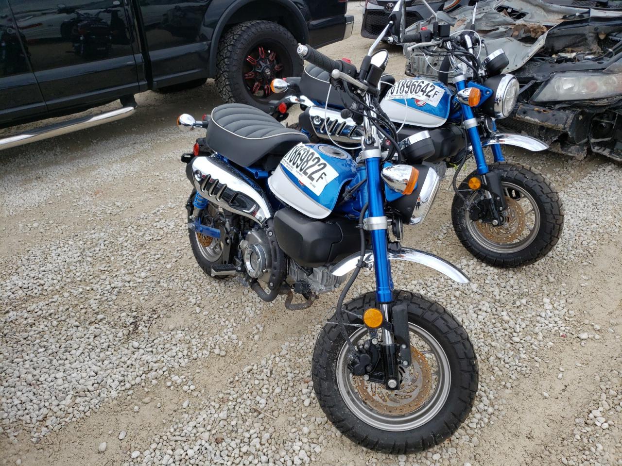 MLHJB021XL5101054 HONDA Z125 M 2020