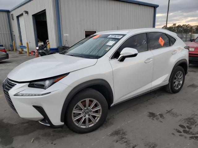 2021 LEXUS NX 300H BASE for Sale | FL - ORLANDO SOUTH | Wed. Nov 16 ...