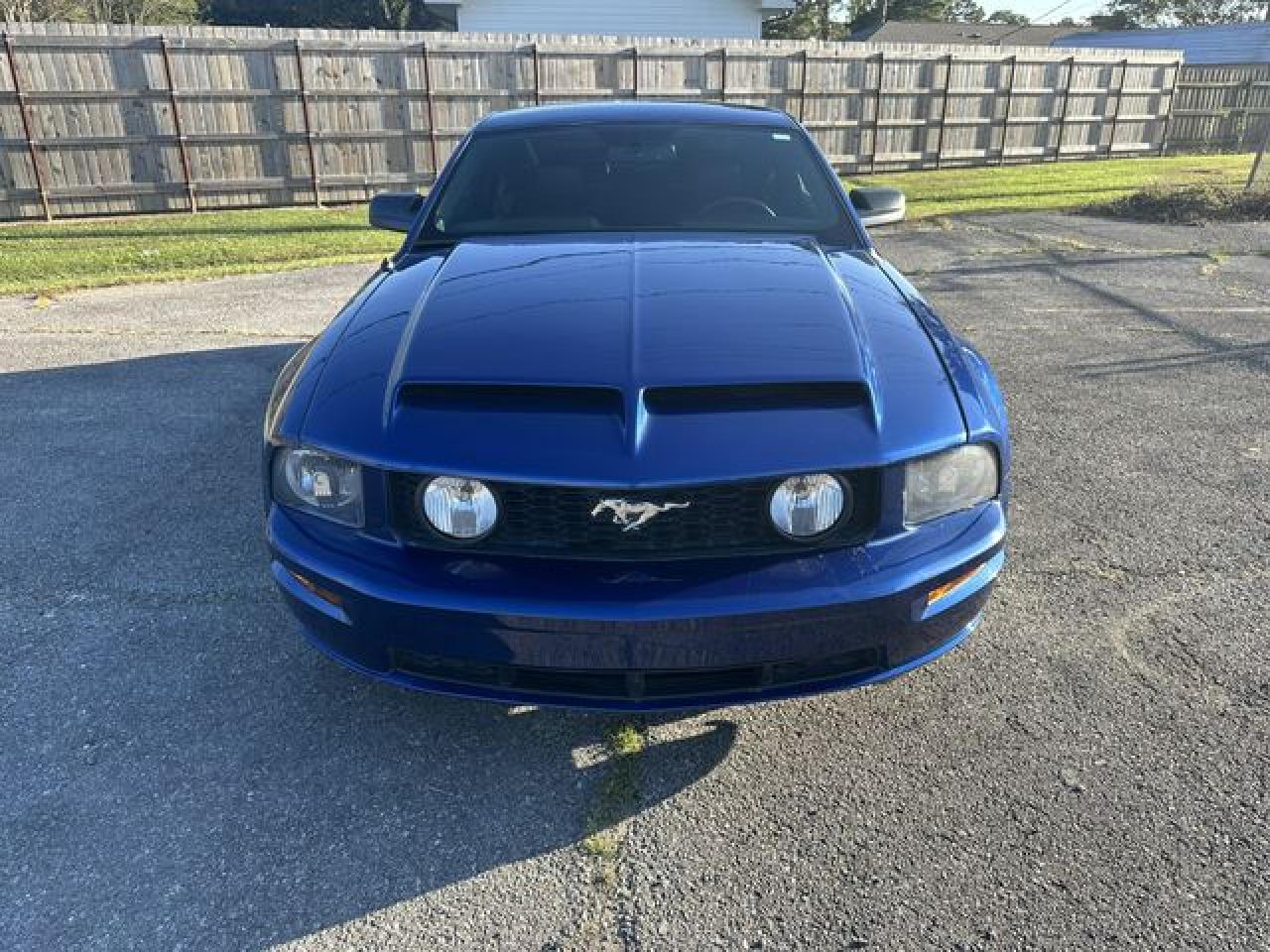 2009 Ford Mustang Gt VIN: 1ZVHT82H595107487 Lot: 64726462