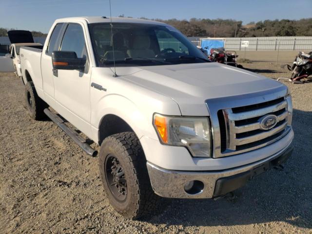 2010 Ford F-150 