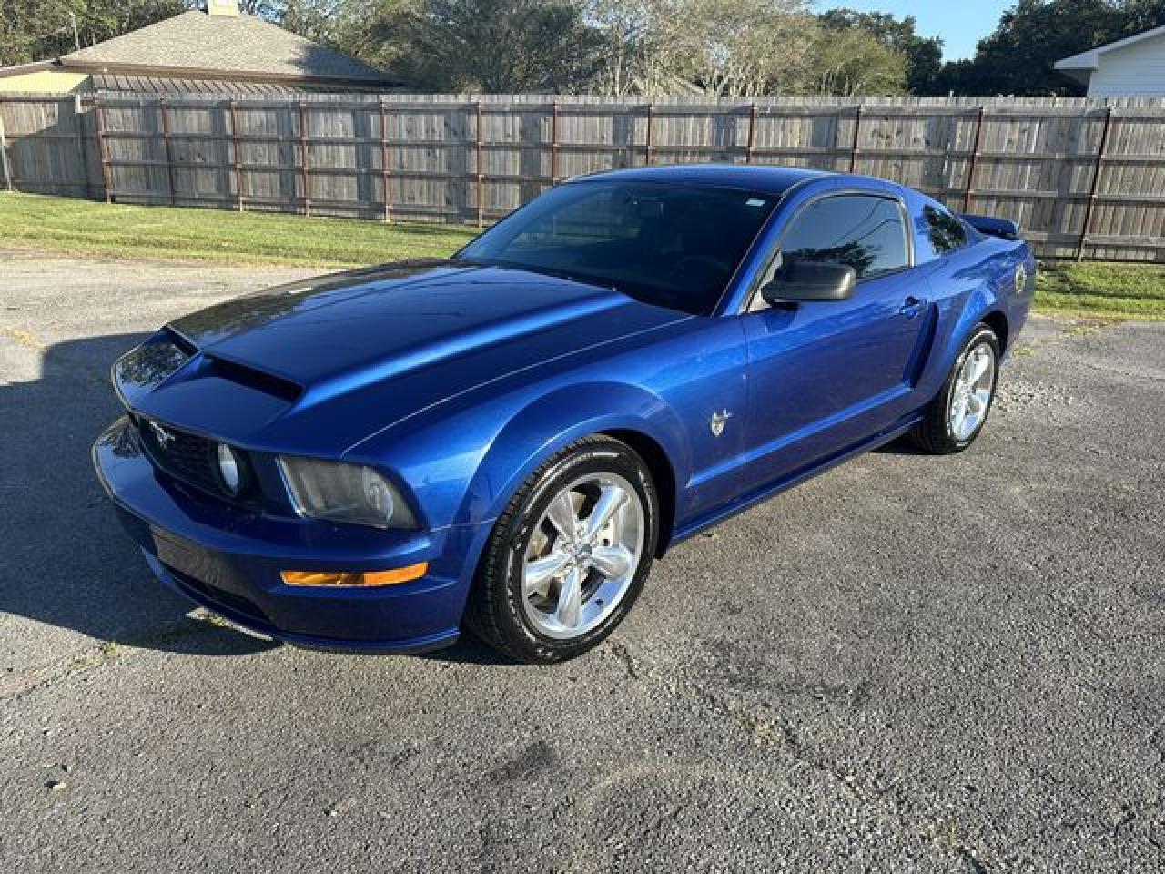 2009 Ford Mustang Gt VIN: 1ZVHT82H595107487 Lot: 64726462