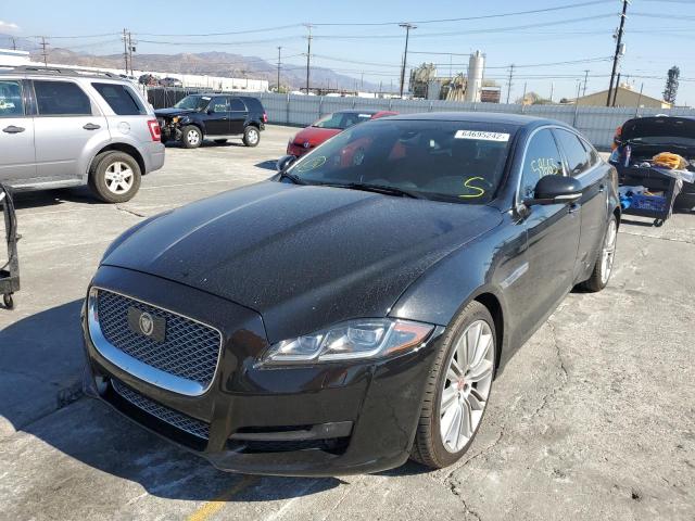 2017 JAGUAR XJ SAJXJ1GD0H8W08383