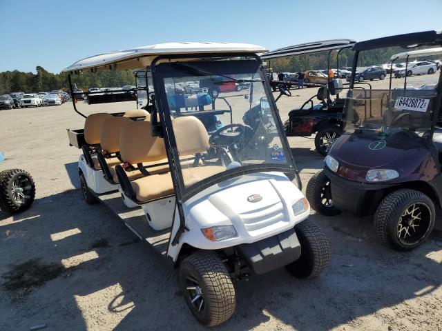 Salvage cars for sale from Copart Harleyville, SC: 2022 Golf Golf Cart