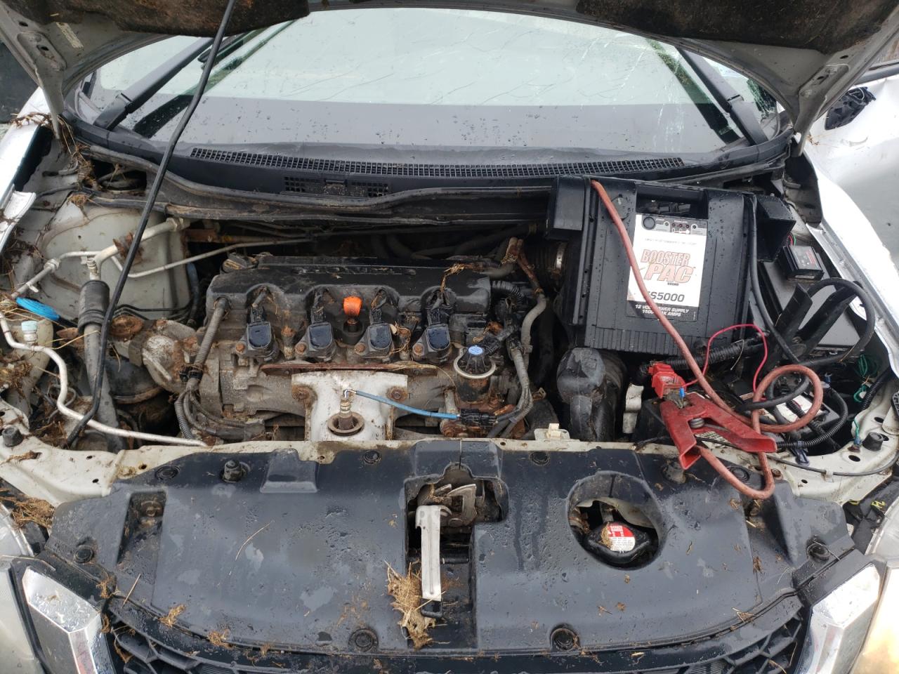 2013 Honda Civic Lx VIN: 2HGFB2F53DH003612 Lot: 64593722