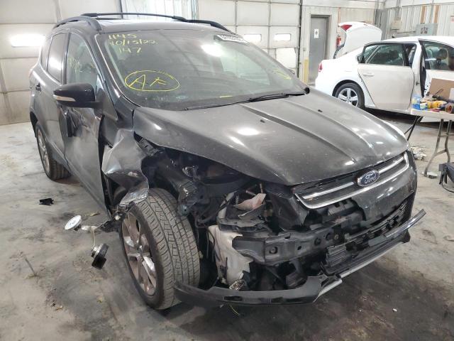 Salvage cars for sale from Copart Columbia, MO: 2013 Ford Escape SEL