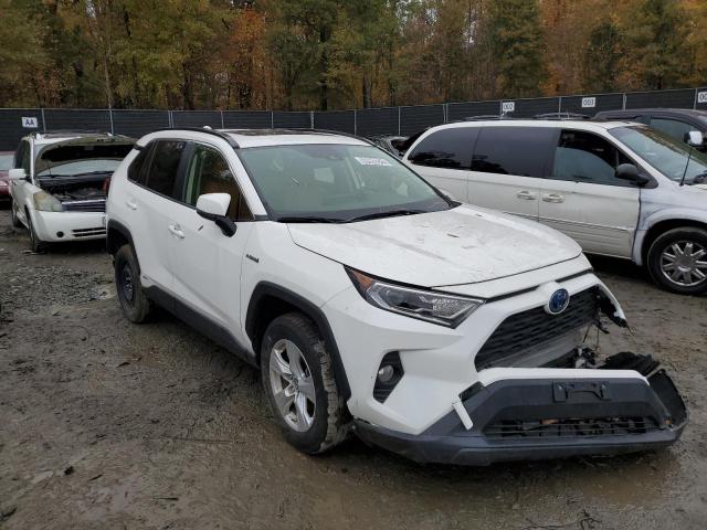 2019 TOYOTA RAV4 XLE - JTMRWRFV3KD035558