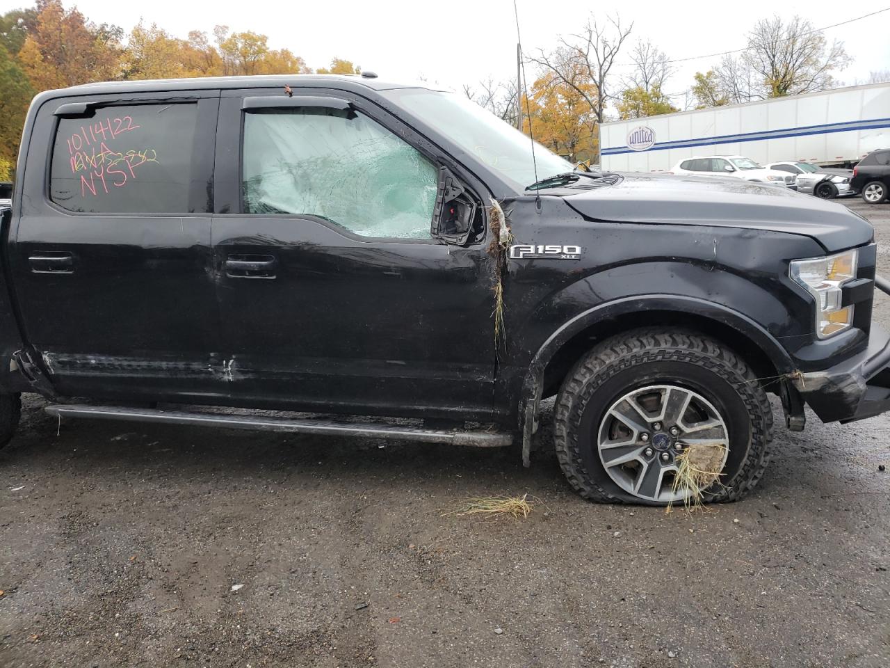 1FTEW1EF3GFB48819 FORD F-150 2016