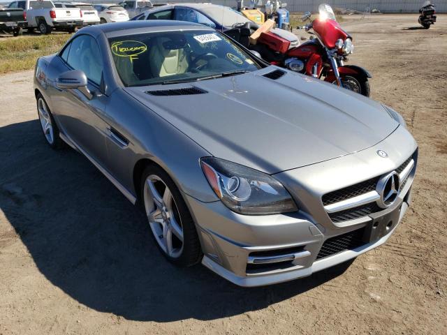 2014 Mercedes-Benz SLK-Class SLK 250