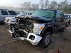 2012 Ford F250 Super Duty იყიდება Harleyville-ში, SC - Front End