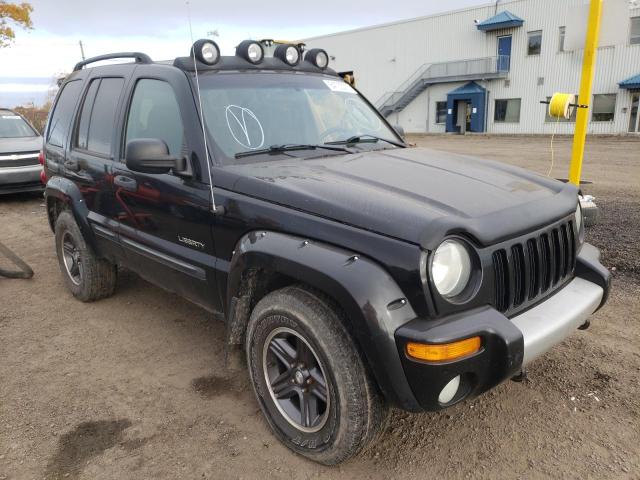 Salvage cars for sale from Copart Montreal Est, QC: 2004 Jeep Liberty RE