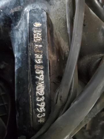 2009 HARLEY-DAVIDSON FLSTSB 1HD1JM5169Y023953
