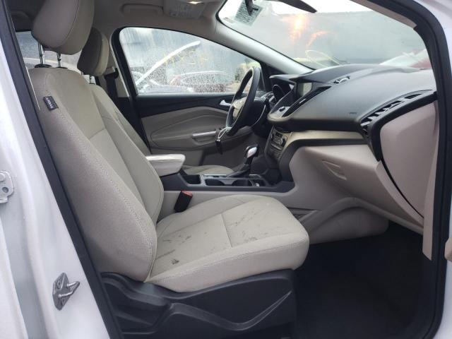 2019 FORD ESCAPE SE - 1FMCU9G96KUC08496