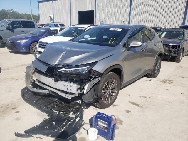 2022 LEXUS NX 250 JTJADCAZ4N5001148