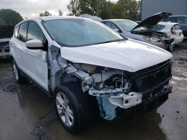 2019 FORD ESCAPE SE - 1FMCU9G96KUC08496
