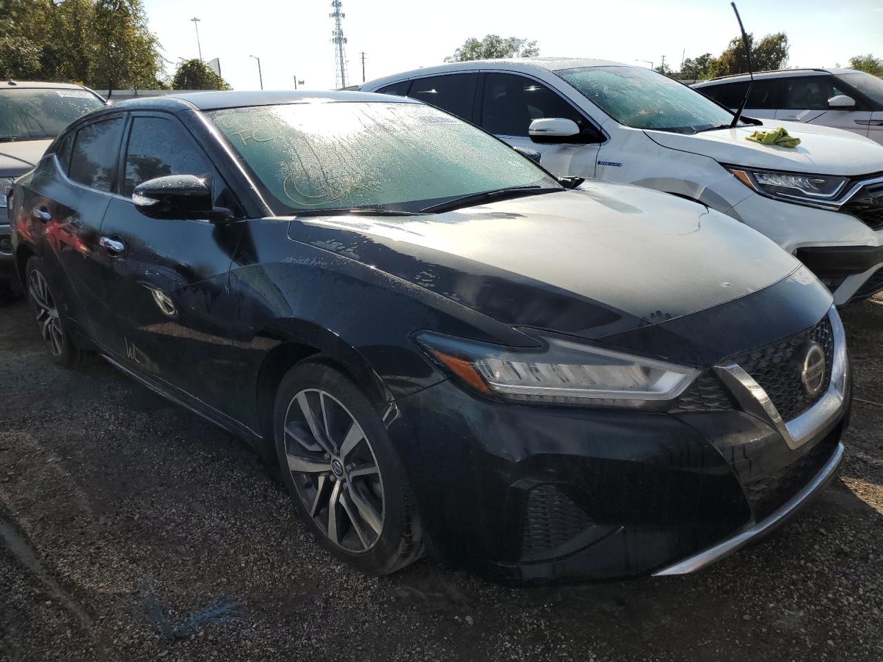 1N4AA6CV2LC360259 NISSAN MAXIMA SV 2020