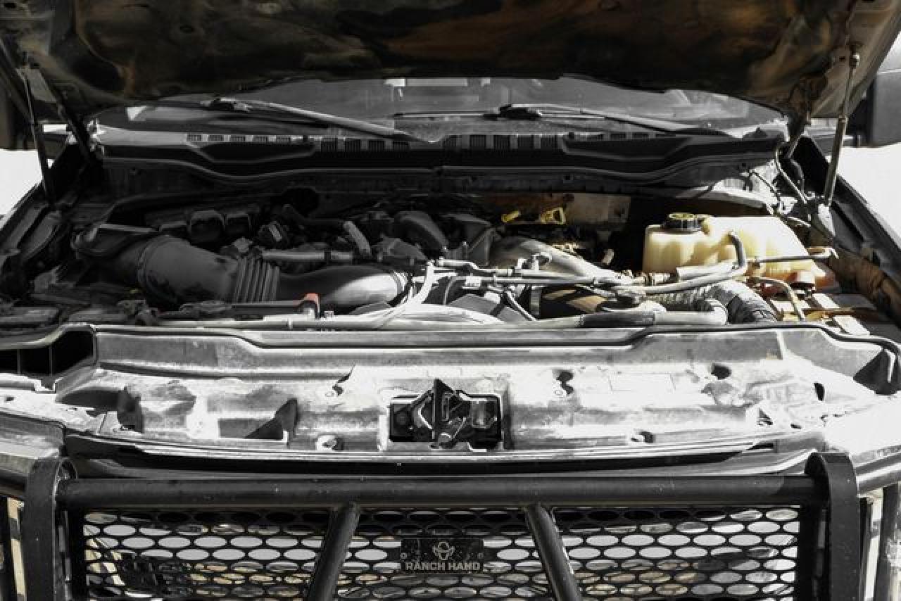 2017 Ford F350 Super Duty VIN: 1FT8W3DT8HEF35129 Lot: 65615752