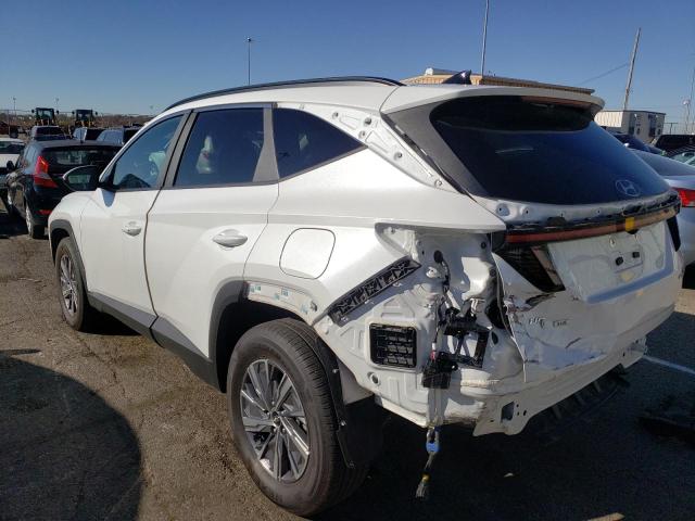 2022 HYUNDAI TUCSON BLU KM8JBCA10NU037665