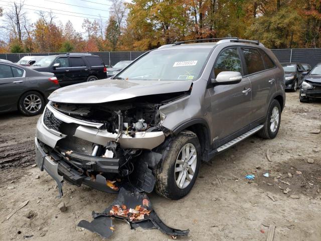 2015 KIA CADENZA 5XYKTDA75FG611194