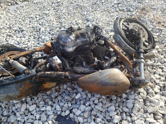 2002 HARLEY-DAVIDSON FLSTSI 1HD1BYB152Y058966