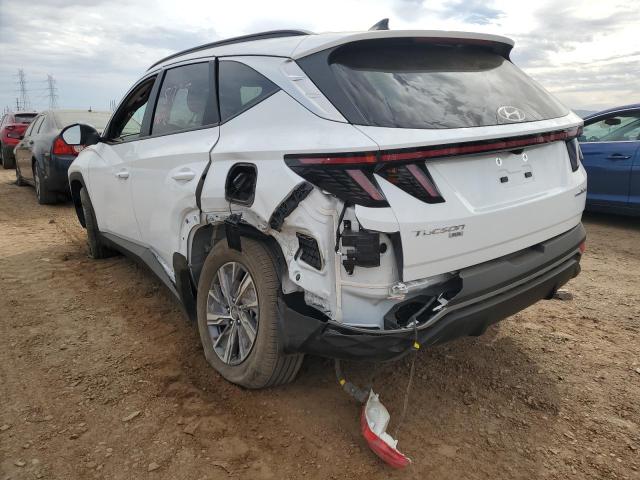 2022 HYUNDAI TUCSON BLU KM8JBCA1XNU069569