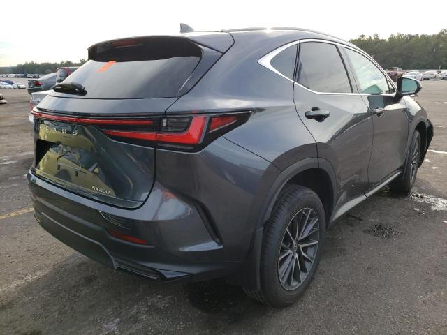2022 LEXUS NX 250 2T2ADCAZ3NC001188