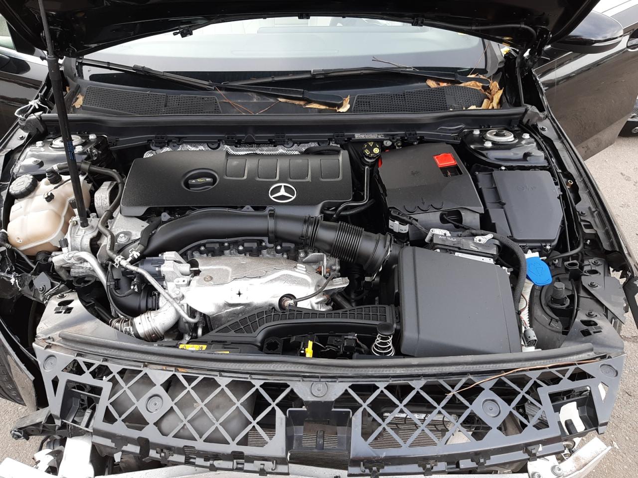 2019 Mercedes-Benz A 220 4Matic VIN: WDD3G4FB5KW006925 Lot: 65726462